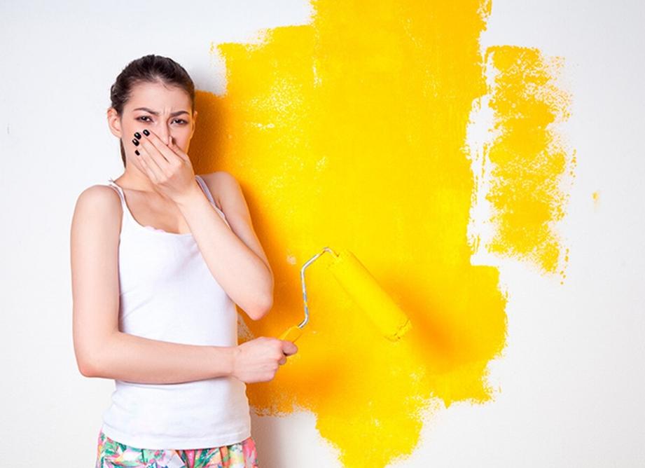 Запах сырости и плесени в доме, как избавиться от него и других запахов